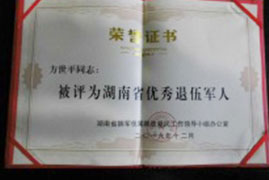 湘潭世平保安服務有限公司,湘潭保安服務,技防服務,特保服務哪里好